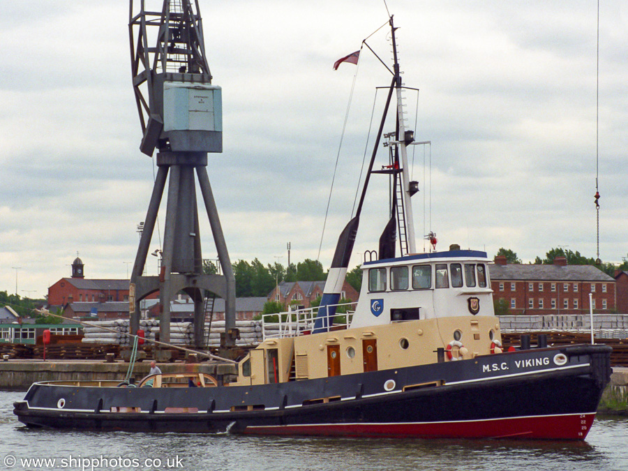 Photograph of the vessel  MSC Viking pictured at Ellesmere Port on 29th June 2002
