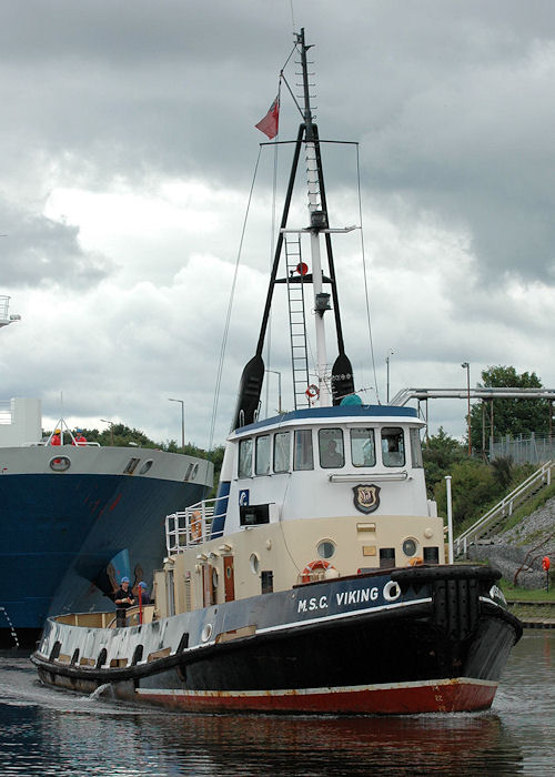 Photograph of the vessel  MSC Viking pictured at Eastham on 31st July 2010