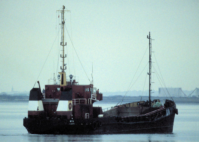 M.V.A. pictured at Hythe on 21st January 1998