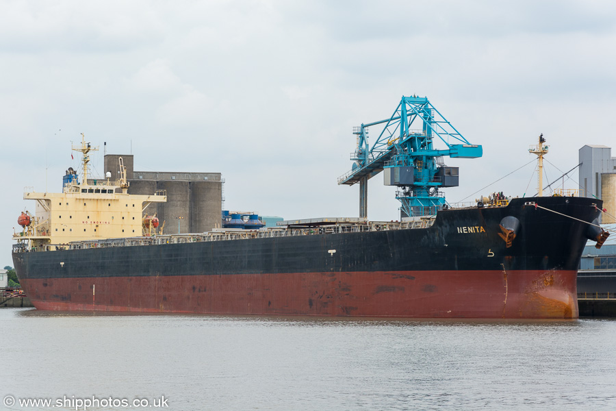 Photograph of the vessel  Nenita pictured in Royal Seaforth Dock, Liverpool on 3rd August 2019