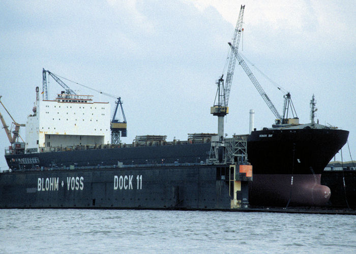  Newark Bay pictured at Hamburg on 27th May 1998