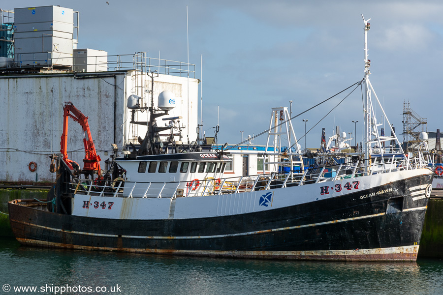 Photograph of the vessel fv Ocean Dawn pictured at Peterhead on 12th September 2024