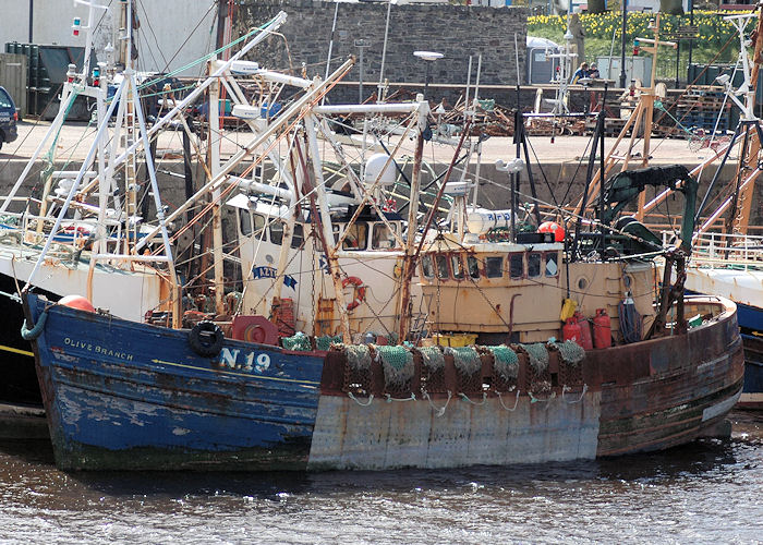 Photograph of the vessel fv Olive Branch pictured at Kirkcudbright on 4th April 2010