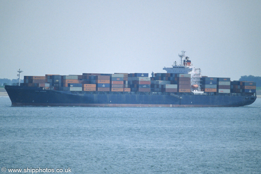 Photograph of the vessel  OOCL Europe pictured on the Westerschelde passing Vlissingen on 21st June 2002