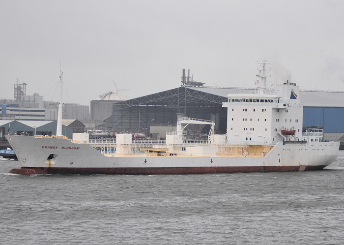 Photograph of the vessel  Orange Blossom pictured passing Vlaardingen on 25th June 2011