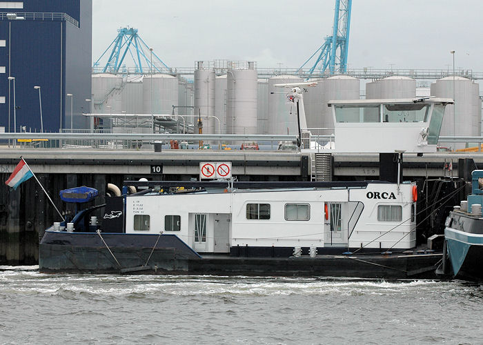 Photograph of the vessel  Orca pictured in Yangtzehaven, Europoort on 20th June 2010