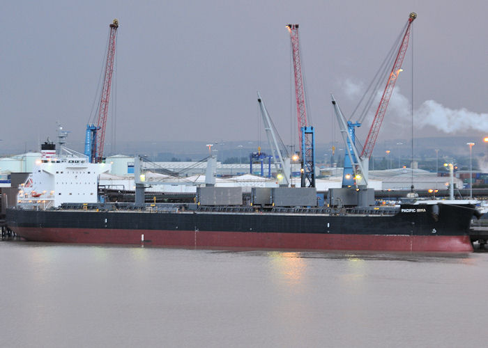 Photograph of the vessel  Pacific Irma pictured at Humber International Terminal, Immingham on 23rd June 2011