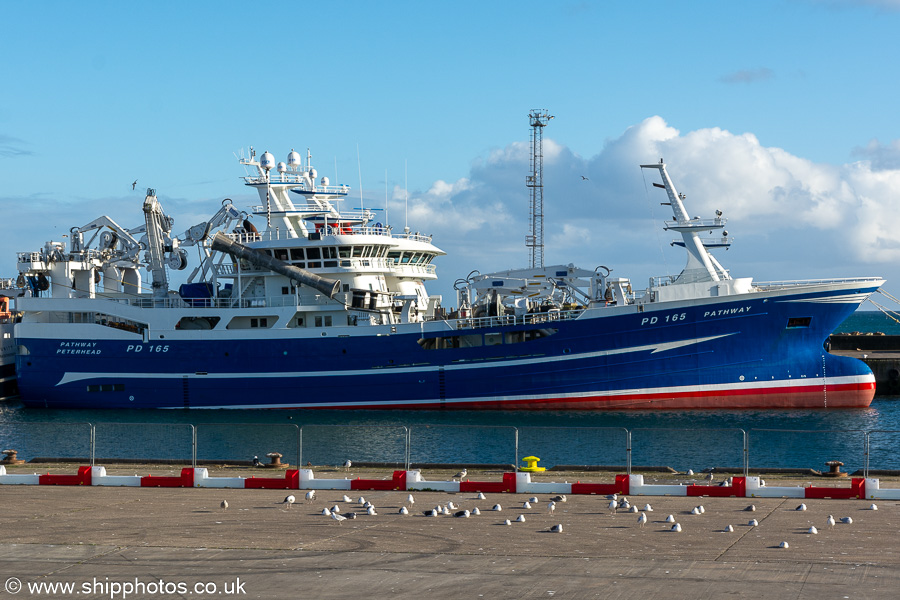 Photograph of the vessel fv Pathway pictured at Peterhead on 12th September 2024