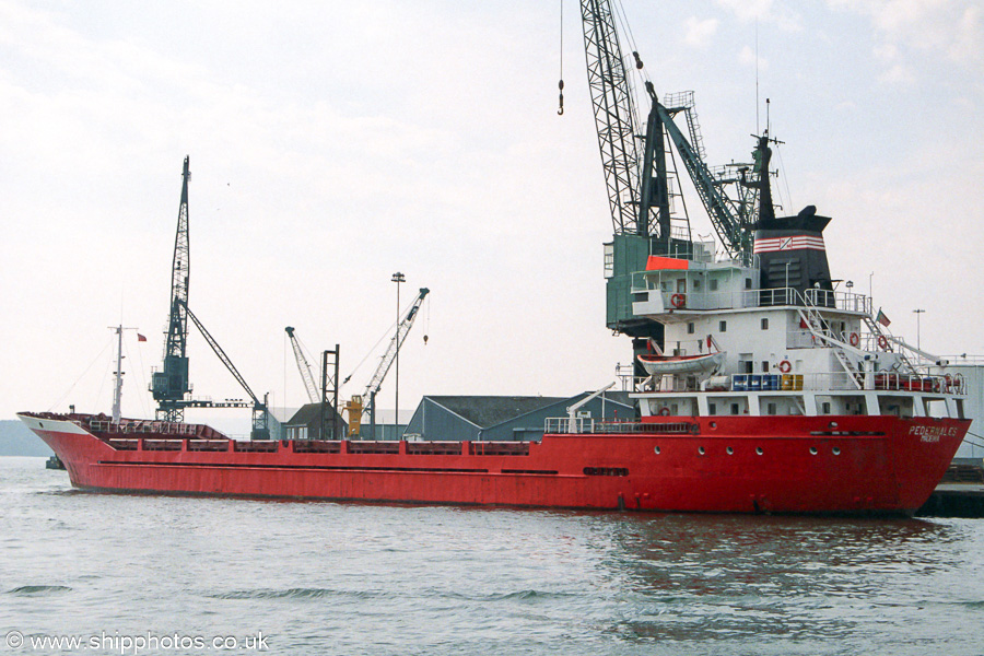 Photograph of the vessel  Pedernales pictured at Poole on 29th August 2001