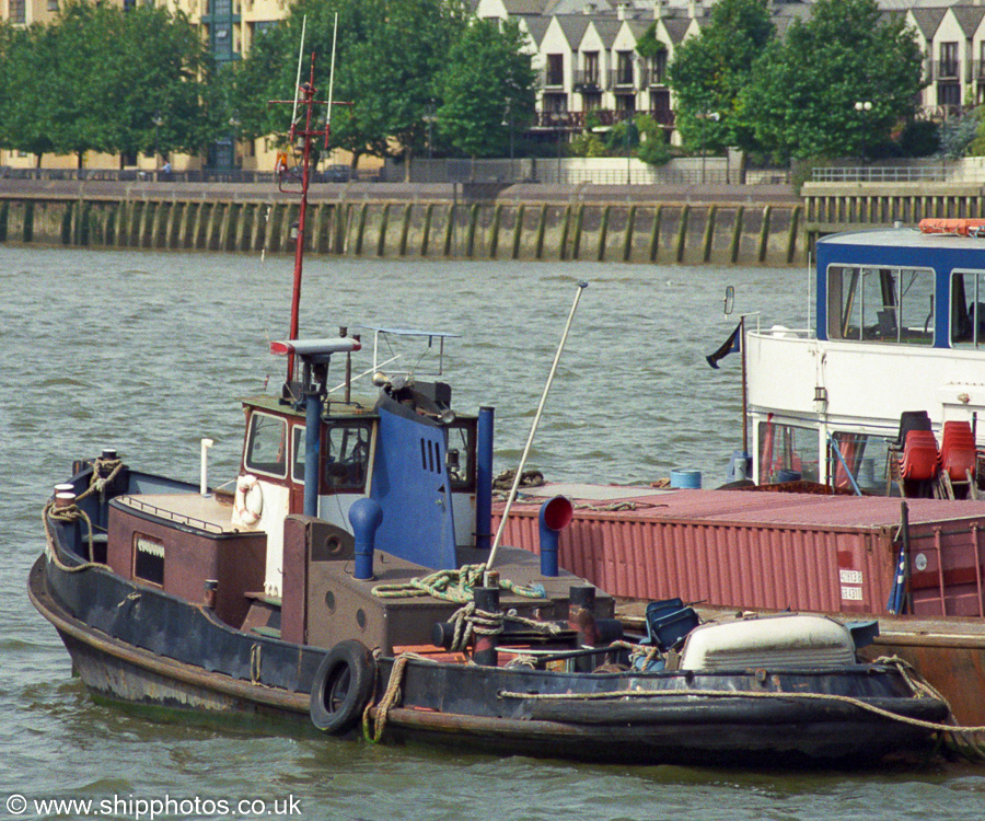  Pelikaan pictured at Greenwich on 3rd September 2002