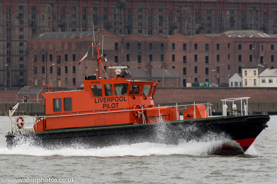 Photograph of the vessel pv Petrel pictured at Seacombe on 31st August 2015