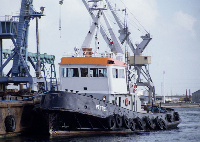 Photograph of the vessel  Petrel pictured at Saint Nazaire on 10th July 1990