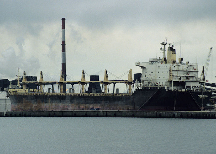 Photograph of the vessel  Ponderosa pictured in Dunkerque on 18th April 1997