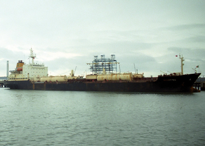 Photograph of the vessel  Quintino pictured at Fawley on 11th September 1988