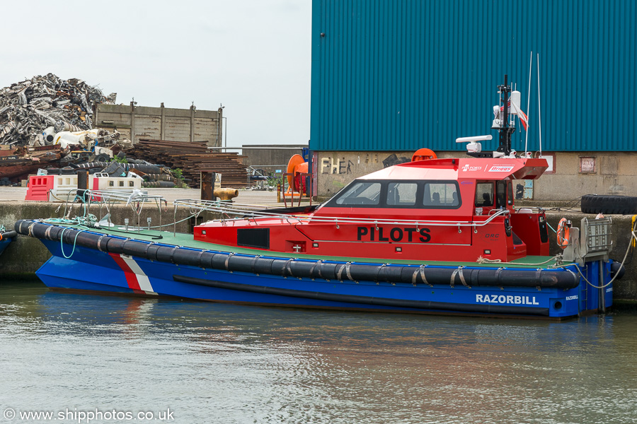 Photograph of the vessel pv Razorbill pictured in Brocklebank Dock, Liverpool on 3rd August 2019