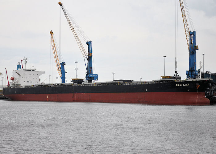 Photograph of the vessel  Red Lily pictured at the Tyne Bulk Terminal, Jarrow on 23rd August 2013
