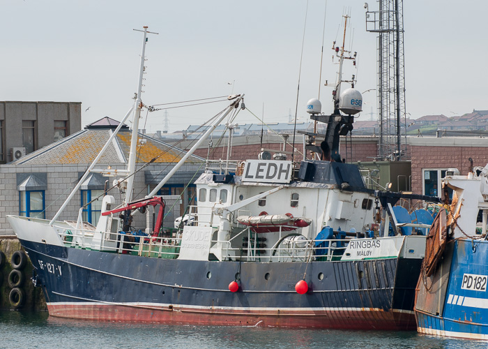 Photograph of the vessel fv Ringbas pictured at Peterhead on 5th May 2014