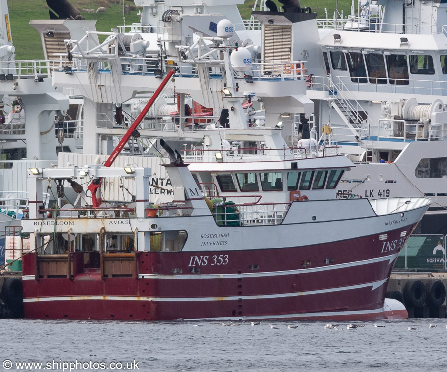 Photograph of the vessel fv Rosebloom pictured at Mair's Pier, Lerwick on 21st May 2022