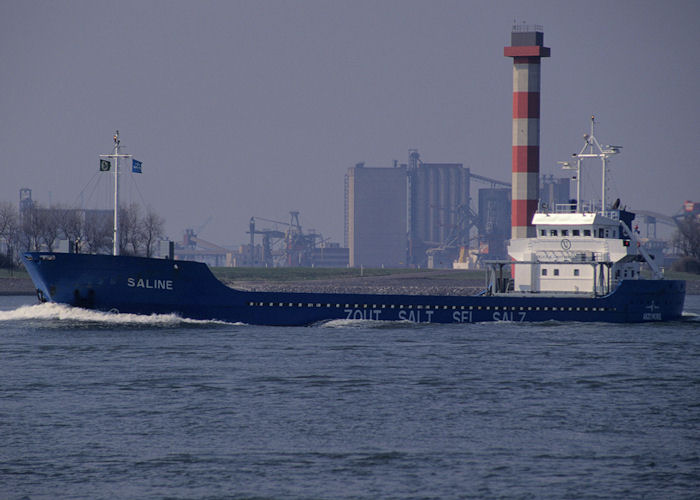 Photograph of the vessel  Saline pictured on the Nieuwe Waterweg on 14th April 1996