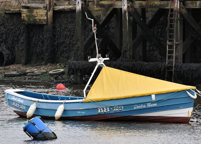 Photograph of the vessel fv Sandra Marie pictured at South Shields on 23rd August 2013