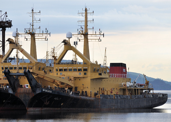 Photograph of the vessel  SD Salmoor pictured in Great Harbour, Greenock on 5th June 2012