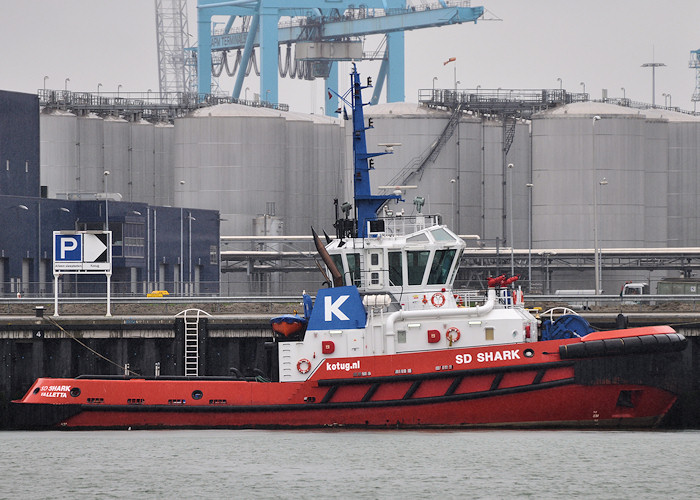 Photograph of the vessel  SD Shark pictured in Yangtzehaven, Europoort on 24th June 2012