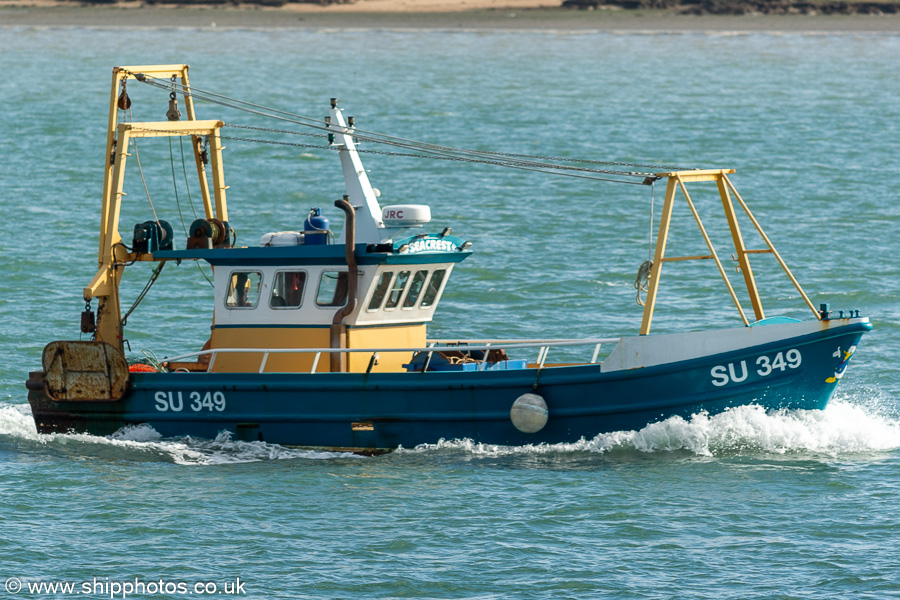 Photograph of the vessel fv Seacrest pictured on Southampton Water on 20th April 2024