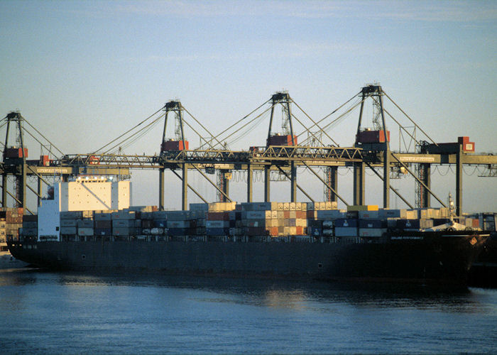 Photograph of the vessel  Sea-Land Performance pictured at Felixstowe on 21st April 1997