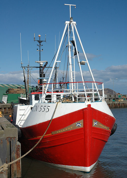 Photograph of the vessel fv Shannon pictured at Campbeltown on 3rd May 2010