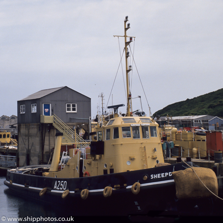 Photograph of the vessel RMAS Sheepdog pictured in Portland Harbour on 23rd July 1989