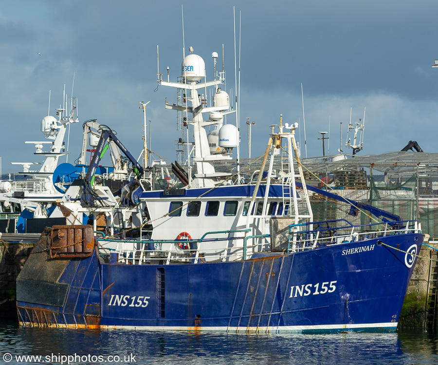 Photograph of the vessel fv Shekinah pictured at Peterhead on 12th September 2024