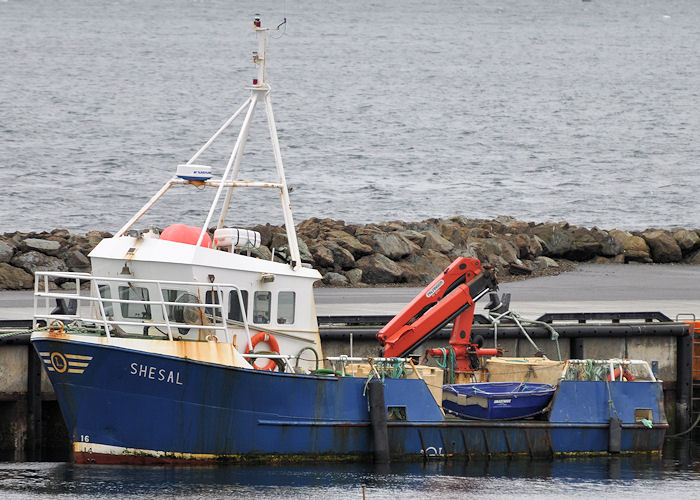 Photograph of the vessel  Shesal pictured at Uyeasound on 11th May 2013