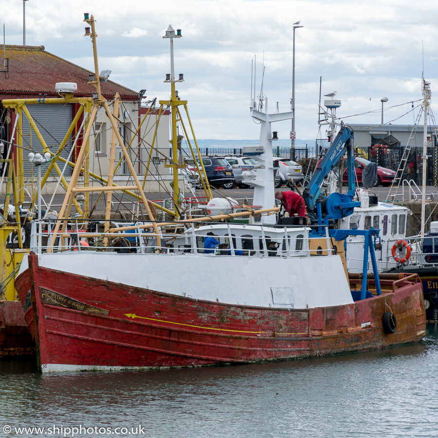Photograph of the vessel fv Silver Chord pictured at Arbroath on 24th May 2015