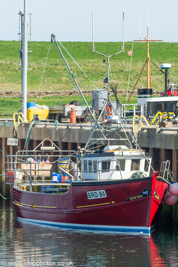 Photograph of the vessel fv Silver Wave pictured at Stromness on 17th May 2024