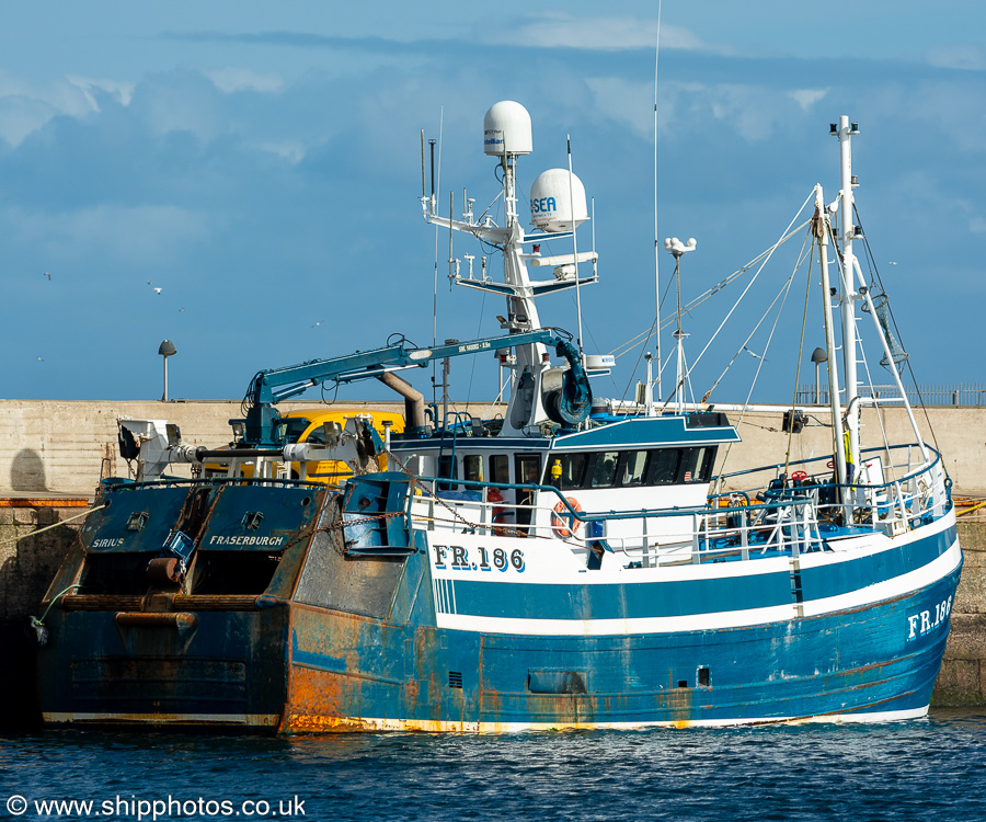 Photograph of the vessel fv Sirius pictured at Fraserburgh on 12th September 2024