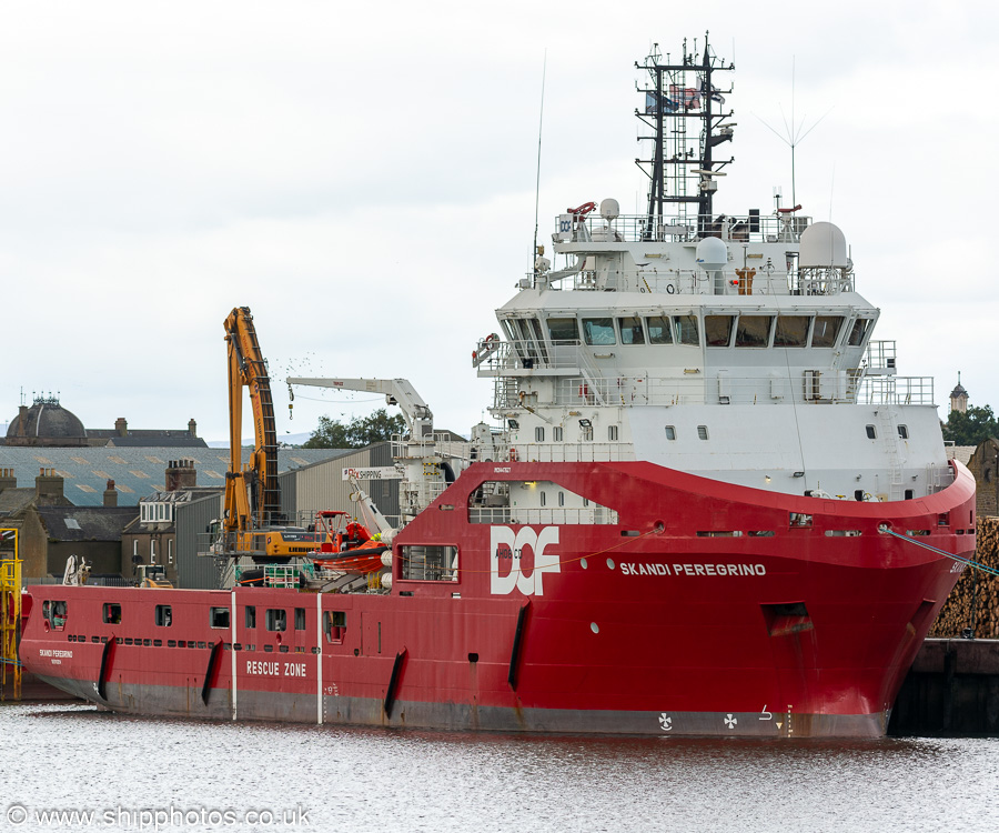 Photograph of the vessel  Skandi Peregrino pictured at Montrose on 13th September 2024