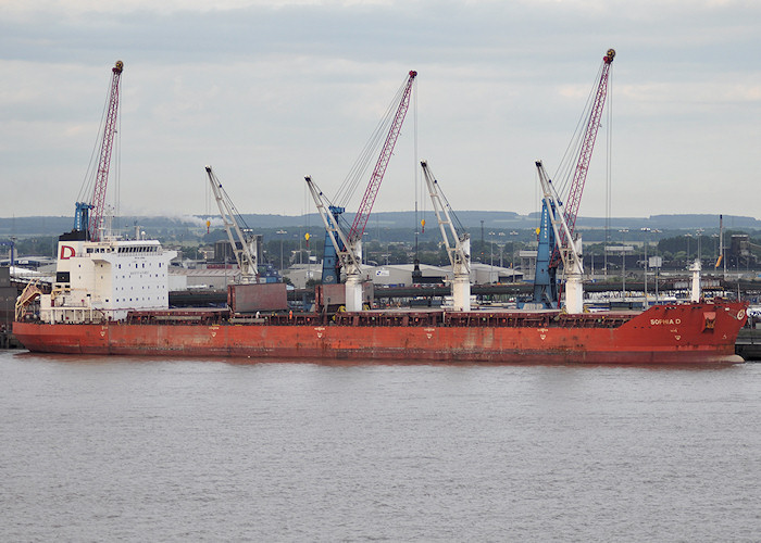 Photograph of the vessel  Sophia D pictured at Immingham on 29th June 2011