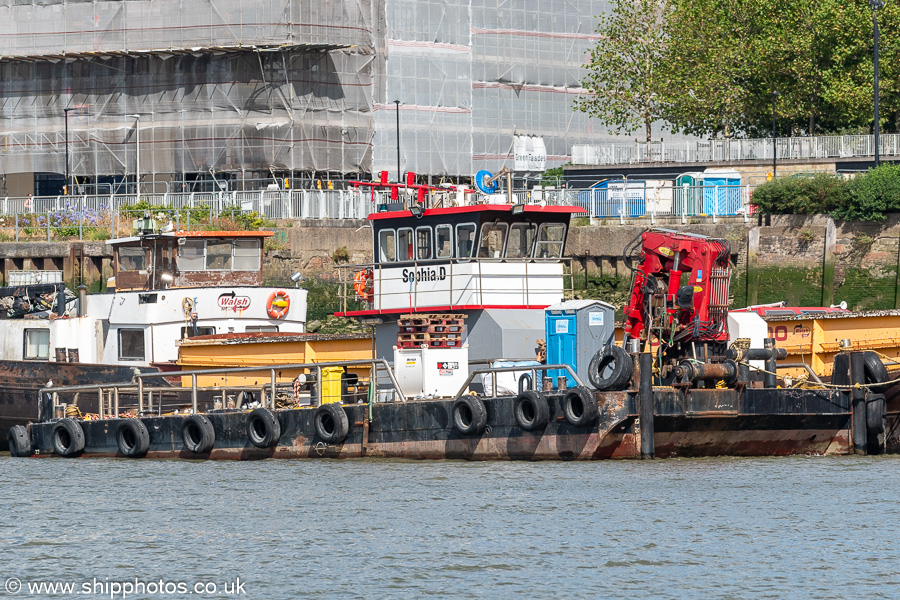 Photograph of the vessel  Sophia-D pictured at Greenwich on 20th July 2025