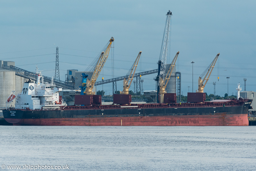 Photograph of the vessel  Spar Pavo pictured passing North Shields on 12th July 2019