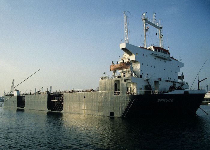  Spruce pictured in Waalhaven, Rotterdam on 27th September 1992