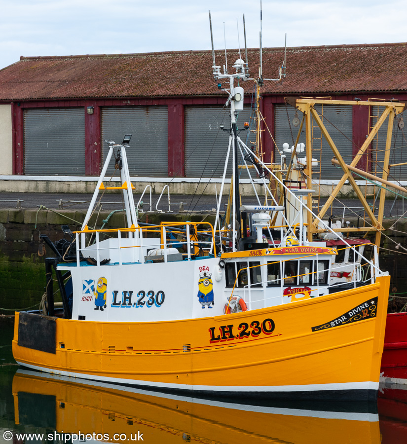 Photograph of the vessel fv Star Divine pictured at Arbroath on 22nd May 2022