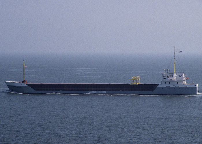 Photograph of the vessel  Steady pictured on the River Elbe on 21st August 1995
