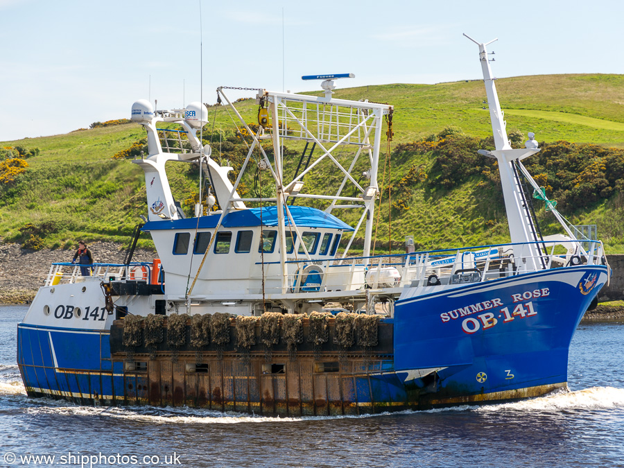 Photograph of the vessel fv Summer Rose  pictured arriving at Aberdeen on 29th May 2019