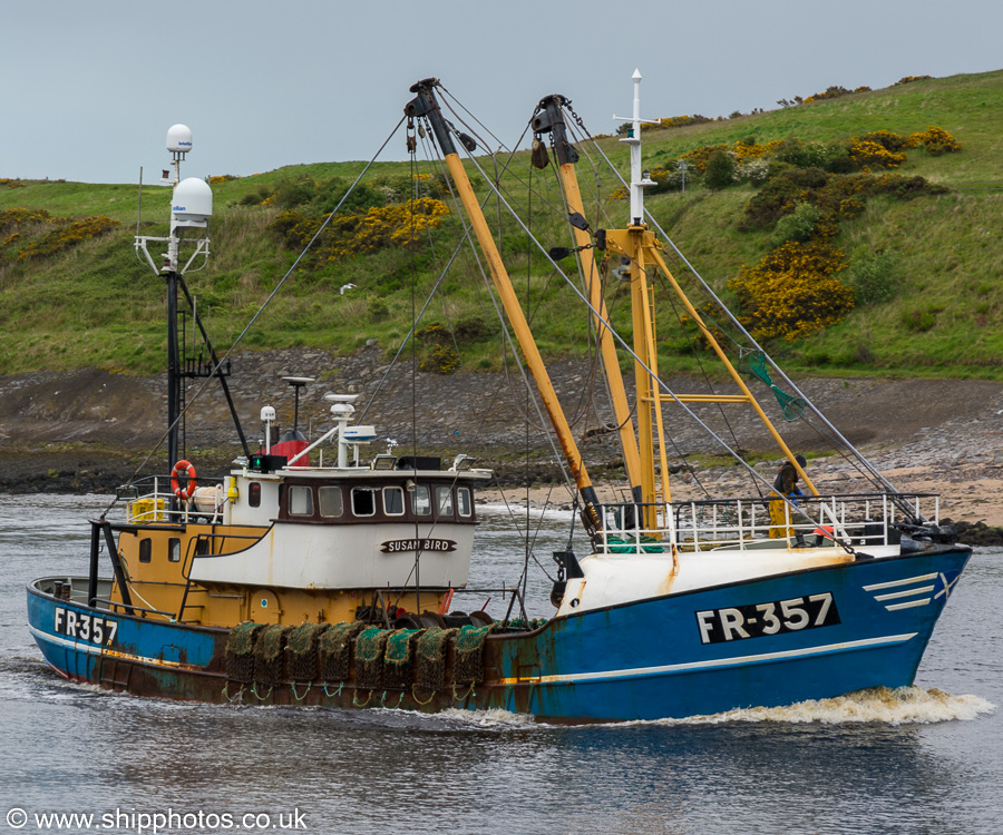 Photograph of the vessel fv Susan Bird  pictured arriving at Aberdeen on 27th May 2019