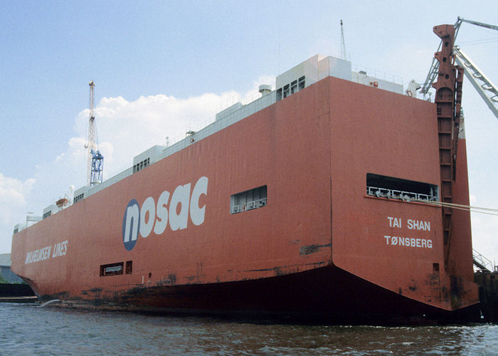 Photograph of the vessel  Tai Shan pictured at Hamburg on 9th June 1997