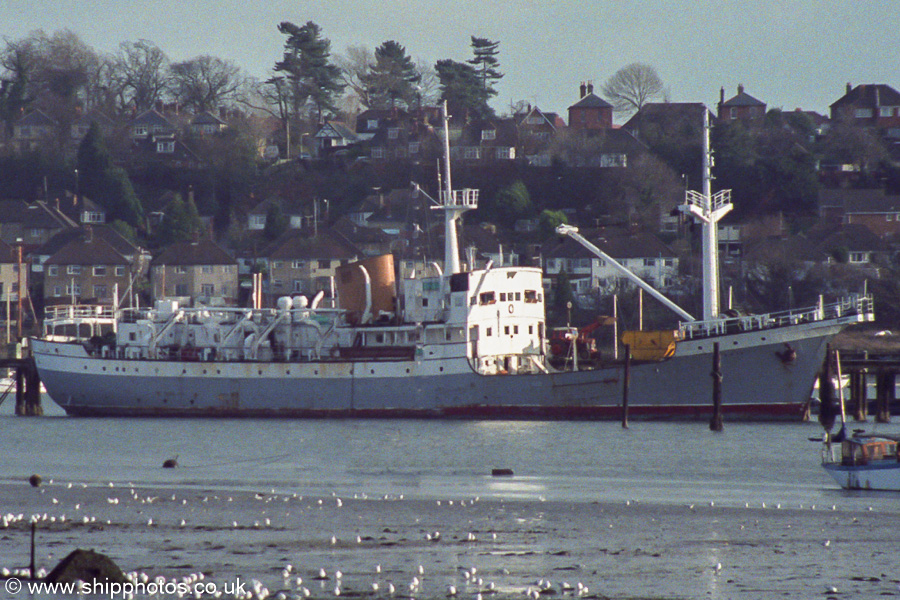 Photograph of the vessel  Taria pictured laid up at Northam, Southampon on 21st January 1989