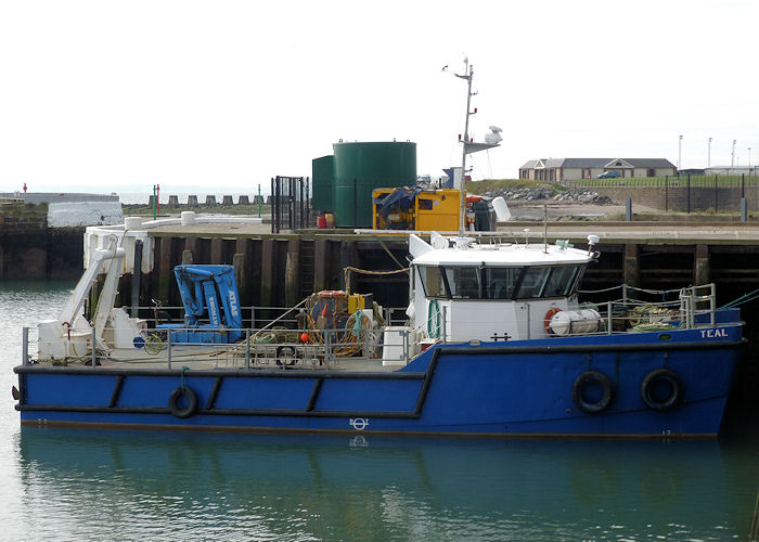 Photograph of the vessel  Teal pictured at Arbroath on 12th September 2013