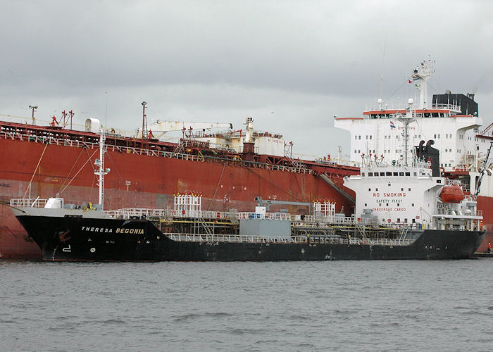 Photograph of the vessel  Theresa Begonia pictured on the Calandcanaal, Europoort on 20th June 2010