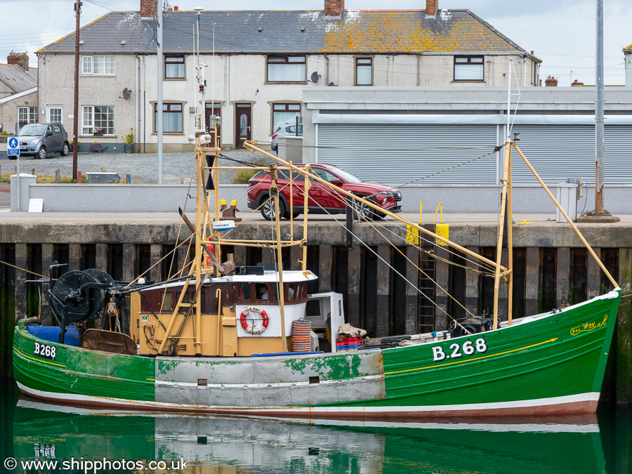 Photograph of the vessel fv The Way pictured at Portavogie on 29th June 2023