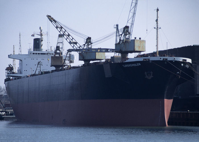 Photograph of the vessel  Tjaskemolen pictured in Merwehaven, Rotterdam on 14th April 1996